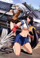 Ikki_tousen_20110828_112.jpg